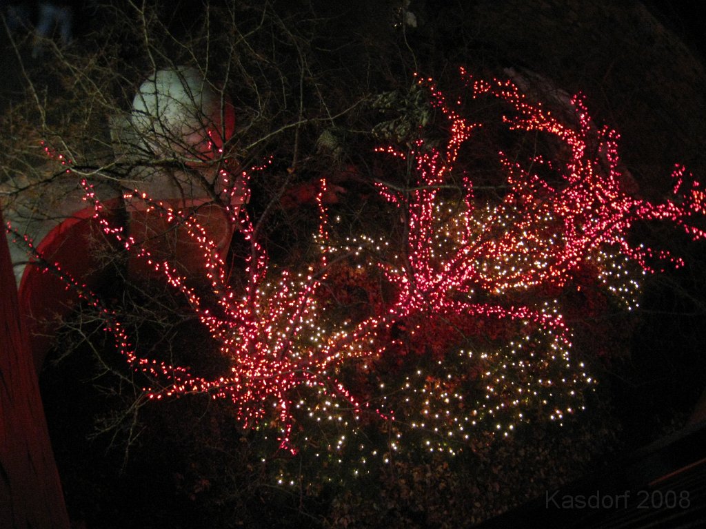 Toledo Zoo Lights 2008 030.jpg - The regular visit to the Toledo Ohio Zoo to see the Christmas Lights displays. New this trip were the "Dancing Lights", displays flashing in time with the Christmas Songs.